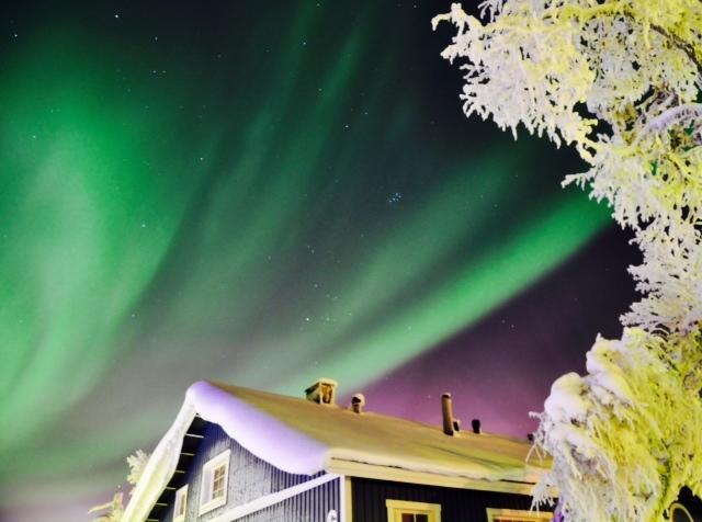 Saariselaen Marjamajat Villa Saariselka Rom bilde